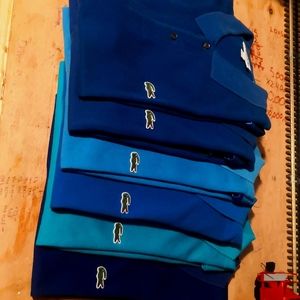 Lacoste polo